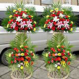 ƸʻԤ